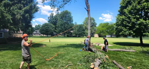 Close-up of the Grace Tree Service logo