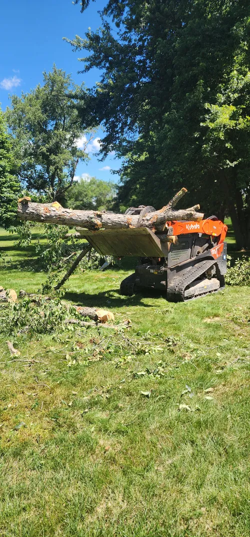 Crew member roping down a tree section safely