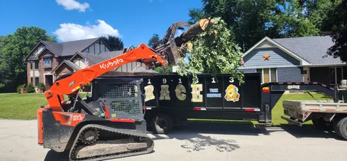 Skid steer loading brush into a dump trailer