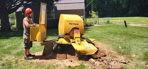Stump grinder removing a tree stump