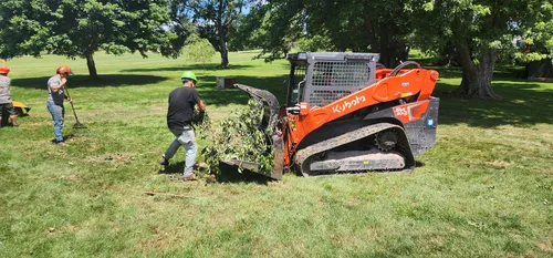 Crew clearing brush after a tree removal job