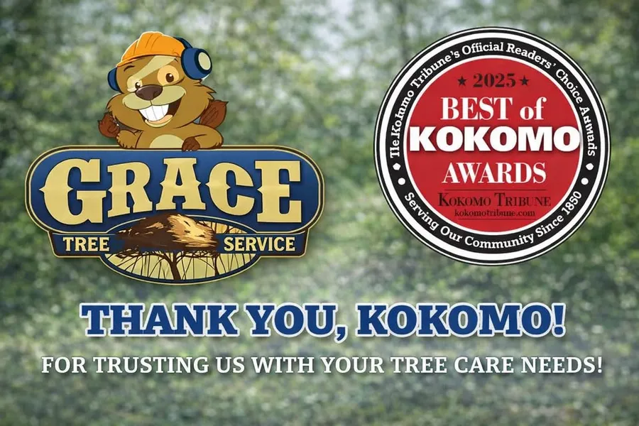 Voted Best of Kokomo 2025 — Kokomo Tribune Readers' Choice Awards