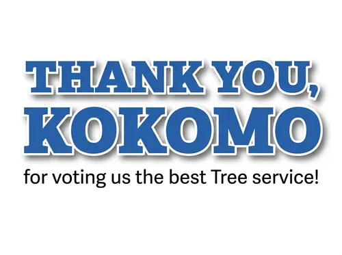 Thank You Kokomo for voting us the best Tree service
