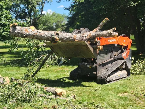 Grace Tree Service Kubota skid steer carrying a felled tree log