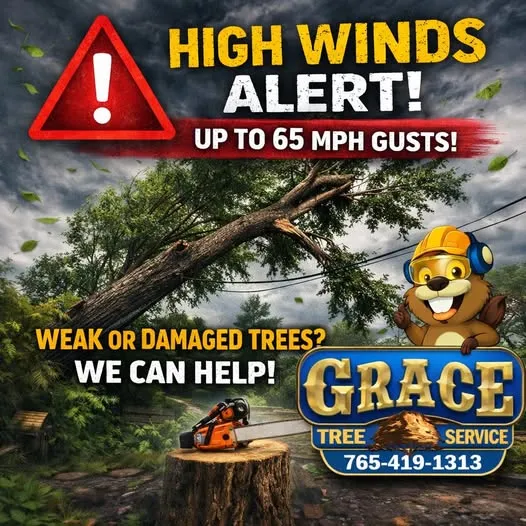 High winds alert graphic — Grace Tree Service responds to storm damage and weak or damaged trees